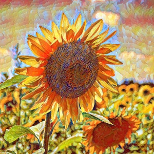 Artistic print of spring sunflowers