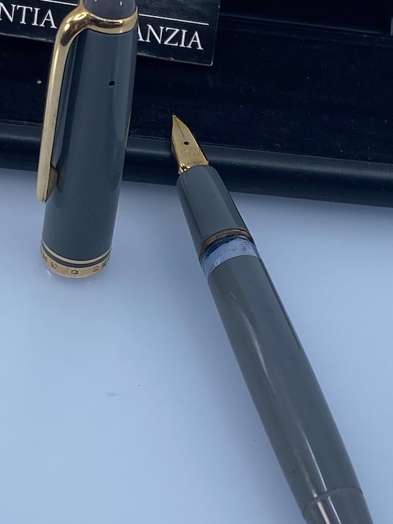 Montblanc 254 Fountain Pen in Subtle Grey: Elegance With a Hidden