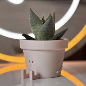 Zittende plantenpot, Schattige plantenpot, Plantenpot, Zittende plantenbak, Schattige plantenbak, Binnenplanter, Cactusplanter Plastic plantenbak