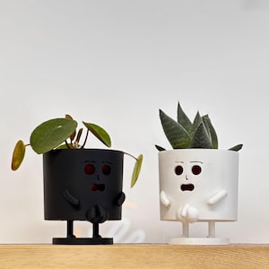 Puede incluir: Dos macetas caprichosas, una negra y otra blanca, cada una con una cara, brazos y piernas de dibujos animados. La maceta negra contiene una planta con hojas verdes redondas, la blanca una suculenta espinosa. Ambas están sobre una estantería de madera.