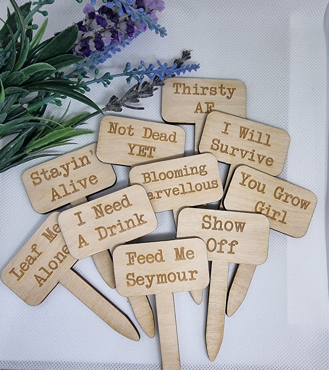 House Plant Stakes, Wooden Plant Markers Funny Quotes, Gift for