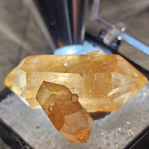 May include: A double-terminated golden-orange quartz crystal cluster featuring a larger horizontal point intersected by a smaller, angled crystal. The specimen is displayed inside a black plastic box with a clear lid and a white foam base.