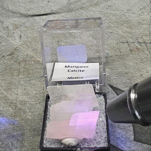 May include: A piece of pale pink Mangano Calcite from Mexico displayed in a clear plastic box. The specimen is illuminated by a UV light source, causing the crystal to fluoresce. A white label inside the box reads Mangano Calcite Mexico.