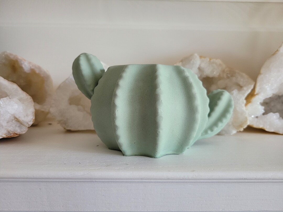 Cactus Candle Holder Flower Pot or Air Plant Holder Etsy