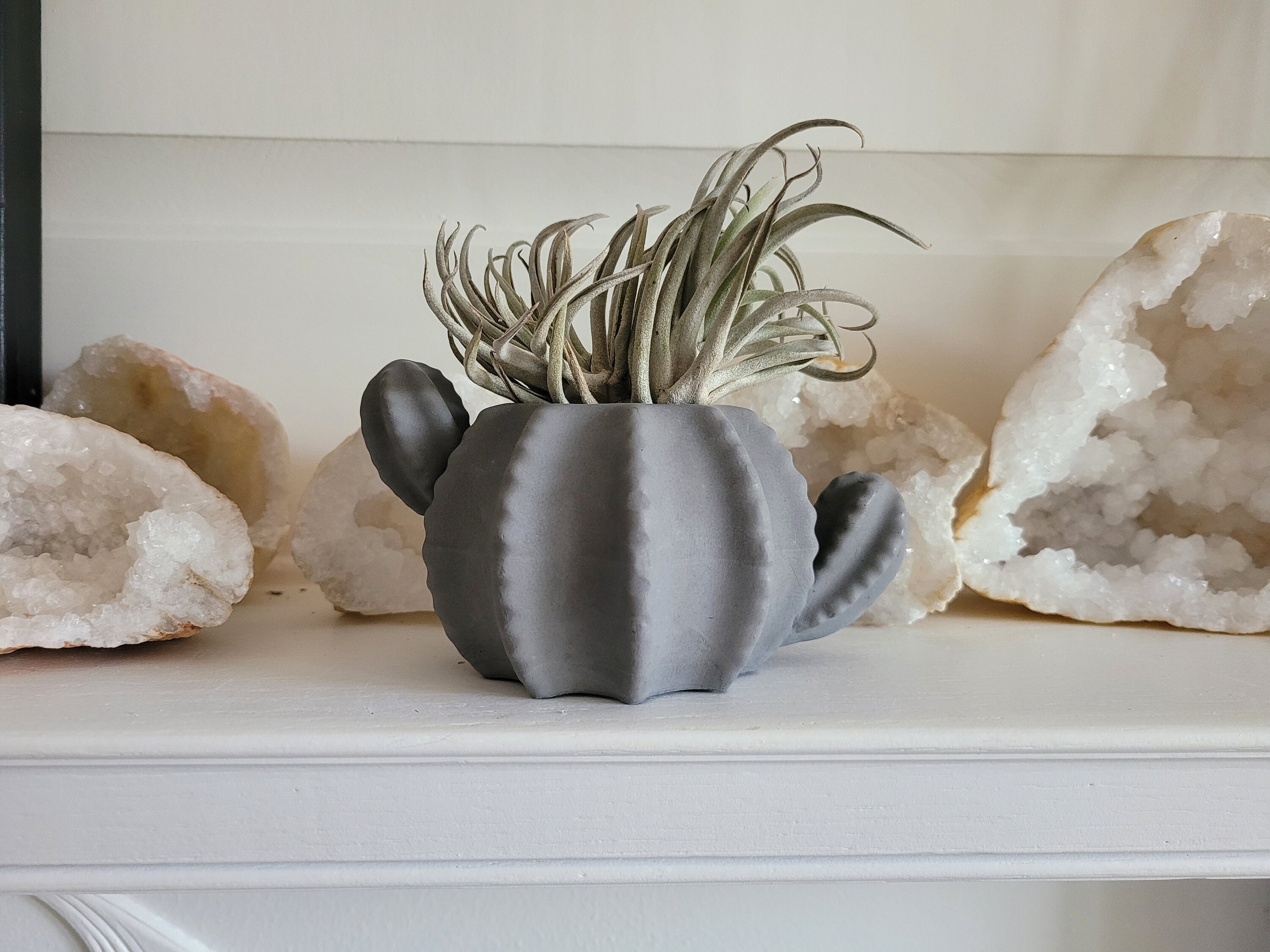 Cactus Candle Holder Flower Pot or Air Plant Holder Etsy