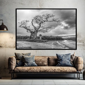 Può includere: Una fotografia in bianco e nero di un grande albero nodoso con rami che si estendono verso il cielo. L'albero si trova in un campo con un sentiero che conduce ad esso. Il cielo è nuvoloso e l'atmosfera generale è cupa.