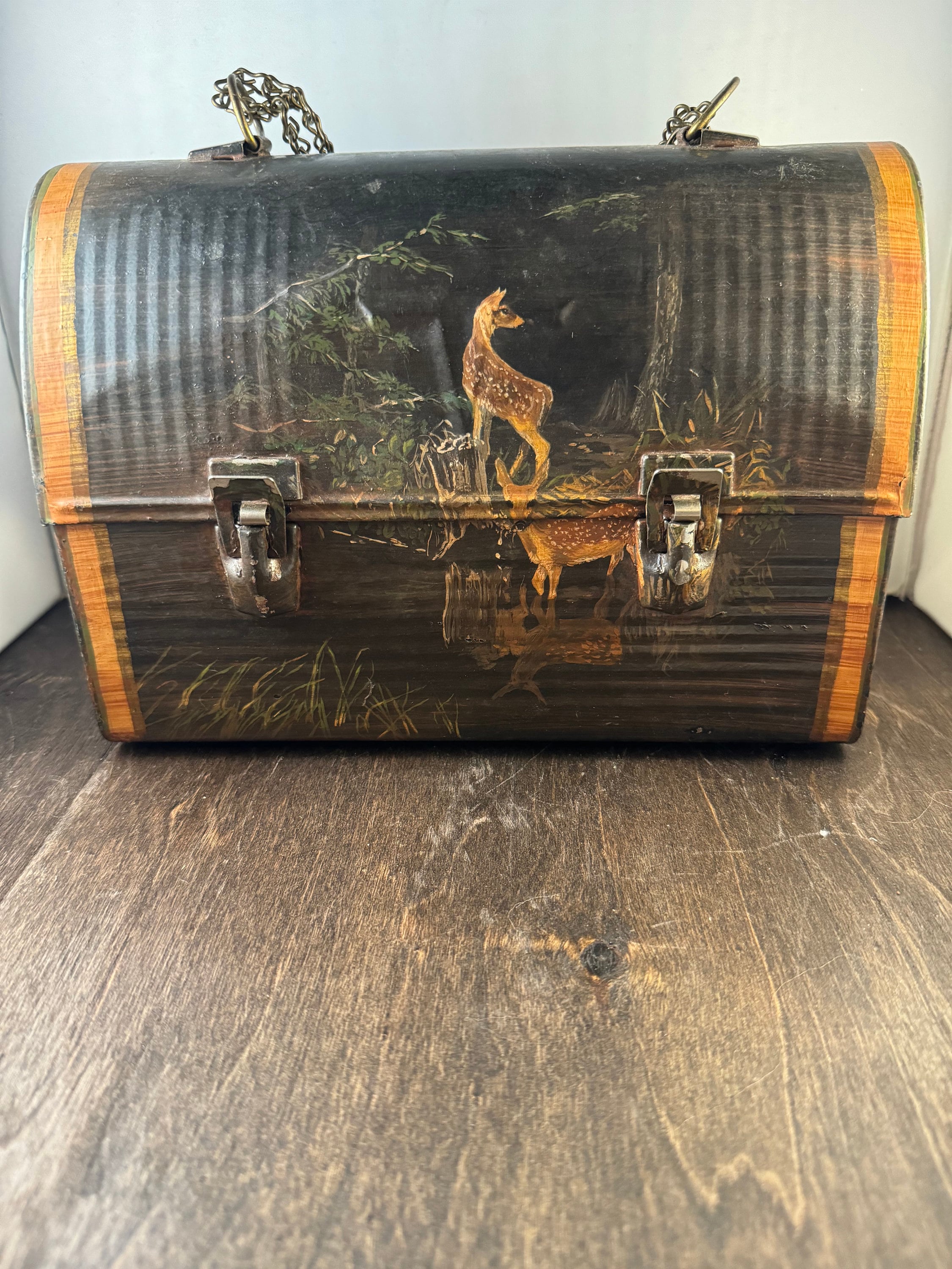 1950's Vintage Hand Painted Thermos Domed Lunch Box - Etsy