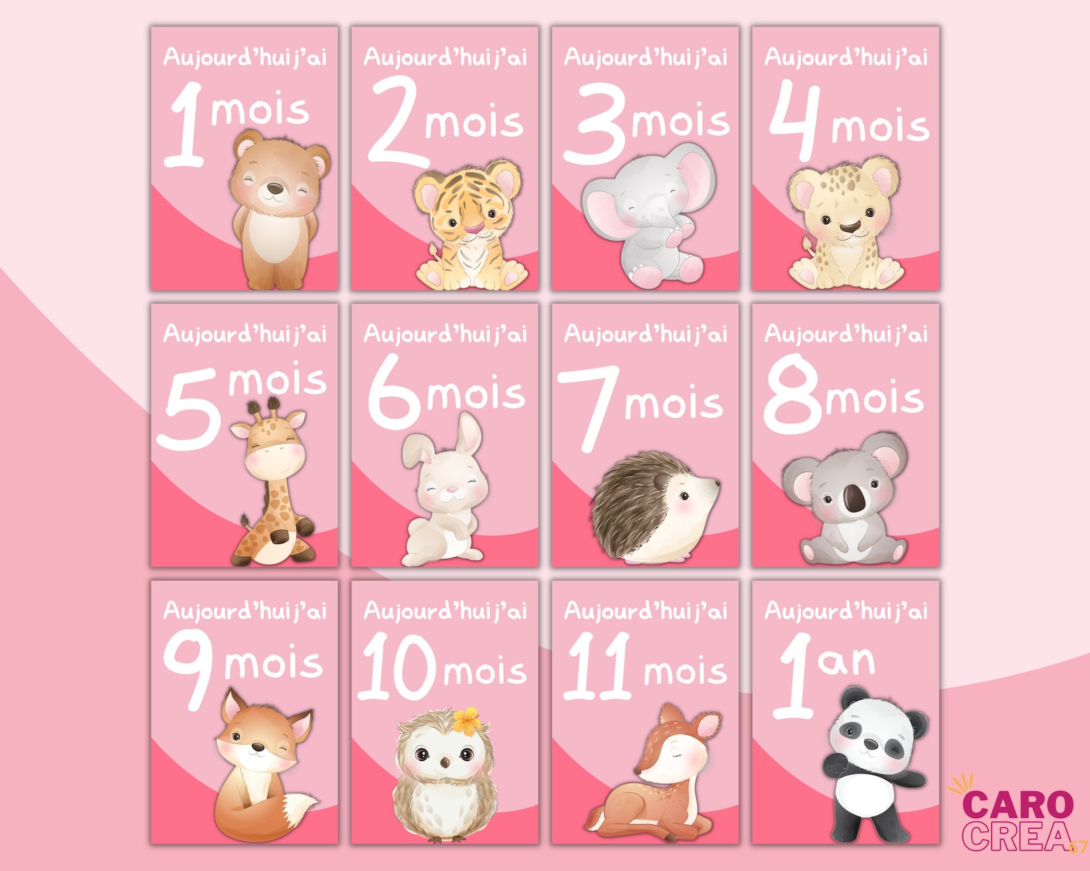 Cartes étapes bébé, PDF à télécharger avec 12 cartes à imprimer, thème