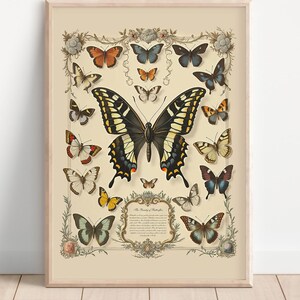 Vintage Butterfly Print – Botanical Wall Art – Digital Download – Nature Illustration – Antique Butterfly Decor - 029