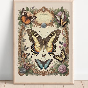 Vintage Butterfly Print – Botanical Wall Art – Digital Download – Nature Illustration – Antique Butterfly Decor - 054