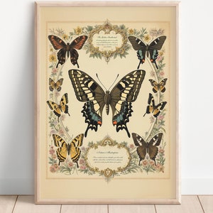 Vintage Butterfly Print – Botanical Wall Art – Digital Download – Nature Illustration – Antique Butterfly Decor - 013
