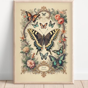 Vintage Butterfly Print – Botanical Wall Art – Digital Download – Nature Illustration – Antique Butterfly Decor - 056