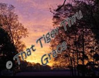 Rainbow in the Field  & The  Local Sun