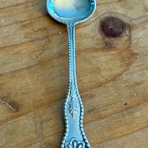 May include: A silver teaspoon with a round bowl and a beaded handle. The handle has a decorative design at the end.