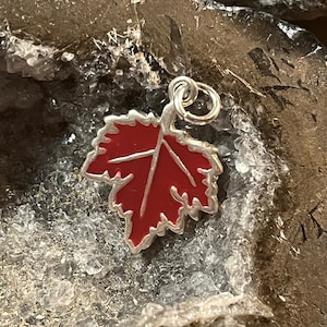 May include: A red enamel leaf charm with a silver loop. The charm is sitting on a rough, gray, textured surface.