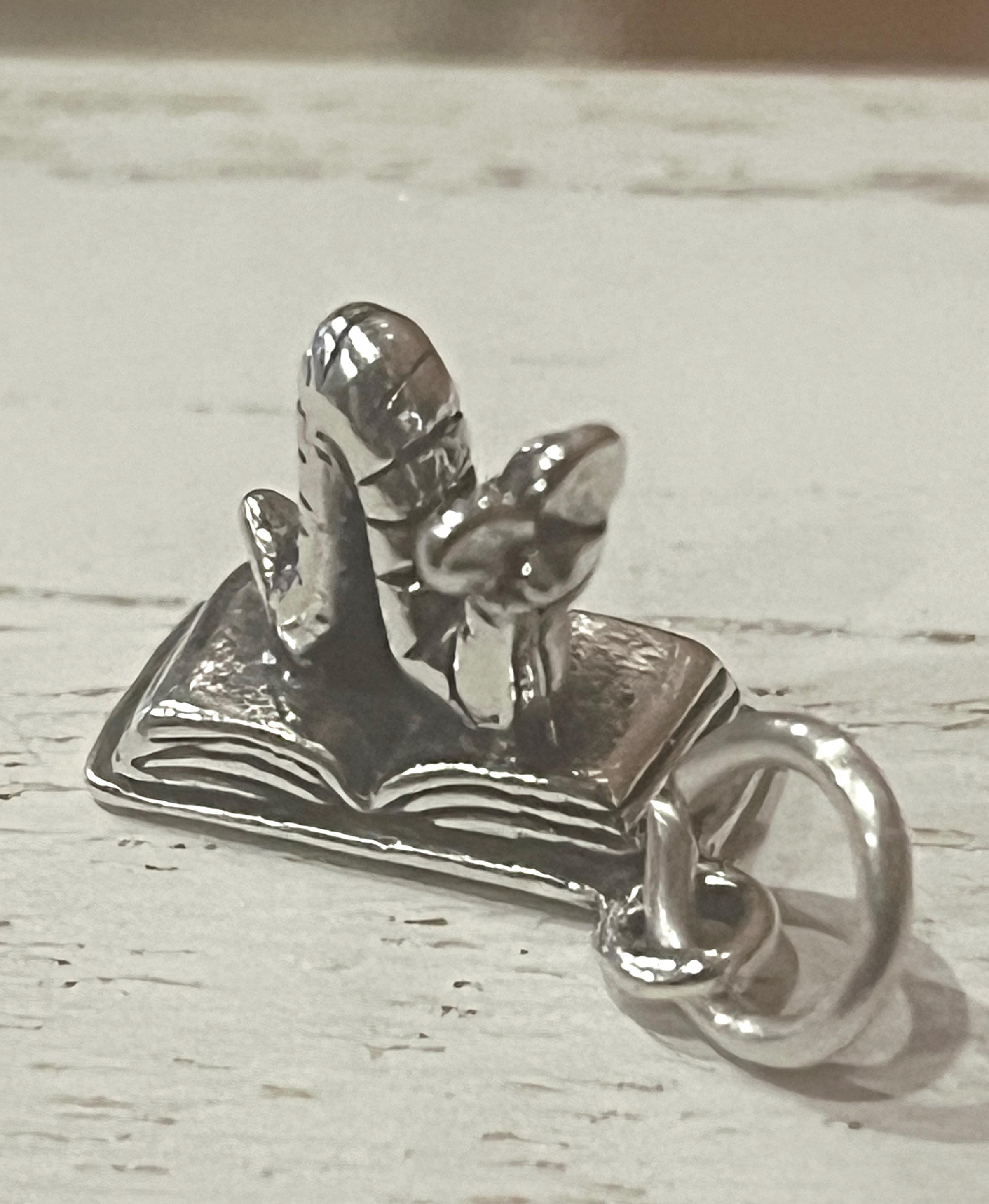 Sterling  Bookworm charm,Sterling Inchworm charm,Teacher charms,Teacher gifts, Teacher jewelry,Librarian Charms,Sterling School charms