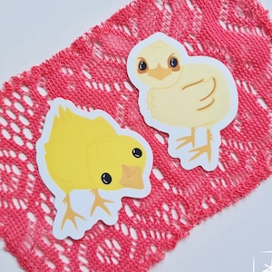 Stickers poussins mignons, poussin jaune rigolo - Cadeau pour les amoureux des animaux