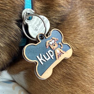 May include: A brown and black dog wearing a blue collar with a bone-shaped tag that says "KUP" and a silver tag with the text "PetLink" and a phone number.