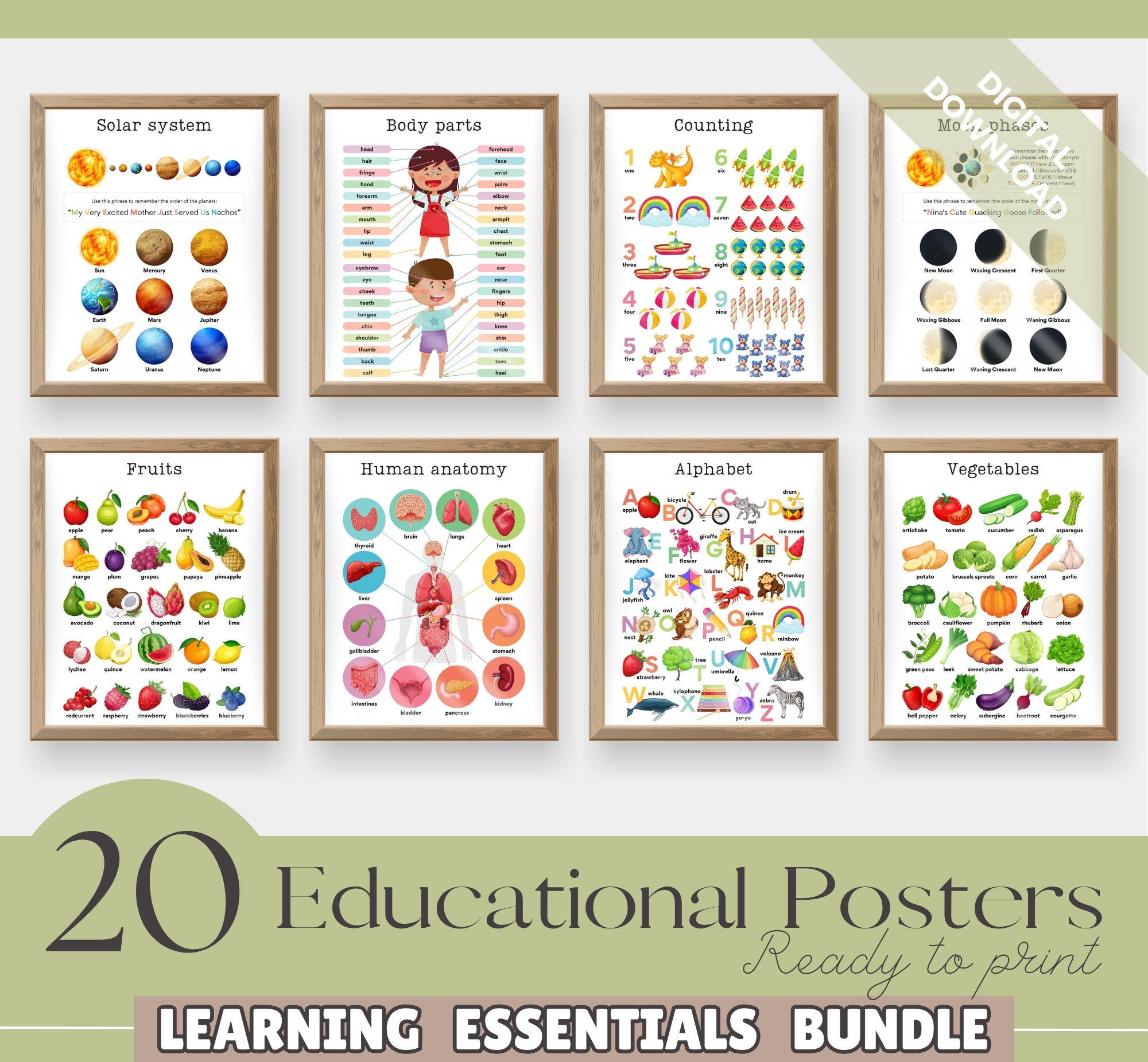 Set of 20 Educational Posters – Printable Homeschool Wall Art, Toddler Learning Prints, Nursery Decor, Instant Download, Back to School