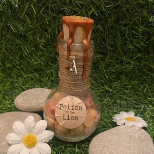 School of Witch &Wizardry Potion of the Lion Wax Melts Potion