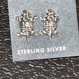 Ursprungsamerikanska Navajo-smycken handgjorda örhängen i sterlingsilver med padda