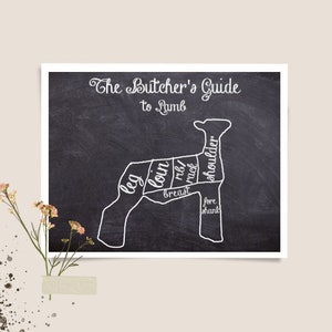 Show Animal Butcher Cuts