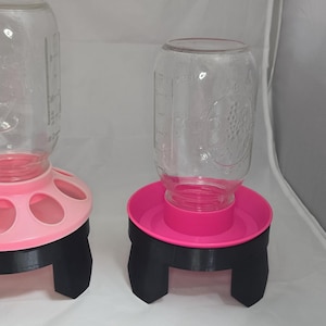 Quart Feeder/Water Stands