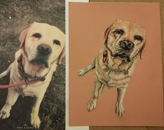 Custom soft pastel pet portrait, 18 x 24 cm 360g paper, hand painted, realistic style, design guided by you. Portrait from photo.