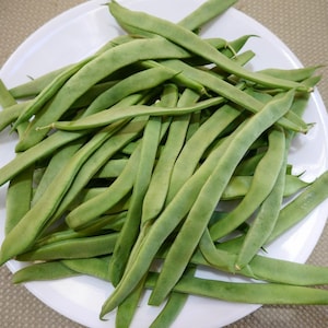 May include: A white plate piled high with fresh, green string beans.