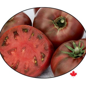 Heirloom Tomato Seeds - Carbon -Amazing flavour and astounding looks make this black tomato a garden winnerSeed Packet