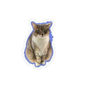 Blue Luna Katt Cute Cat Kiss-Cut Stickers | Adorable Cat Décor, Laptop Stickers, Pet Lover Gifts, Personalized Planner Stickers, Feline Art