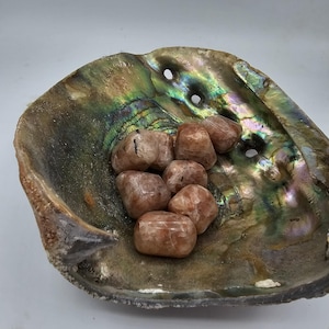Può includere: Conchiglia di abalone iridescente, con riflessi verdi e blu, contenente diverse pietre solari levigate, arrotondate e color pesca. Le pietre solari sono lisce e hanno un tono caldo e terroso. L'interno della conchiglia è brillante.