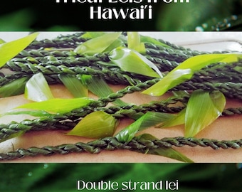Handmade Ti Leaf Lei: Fresh Green Double Strand Lei from Hawaii