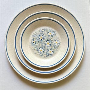 Temper ware By Lenox Dew Drops Blue Stripe White Daisy Flowers MCM Dinnerware Replacements