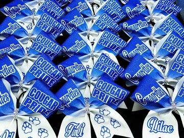 Custom order - FREE SHIPPING - custom decals for cheer megaphones - individual or team sets
