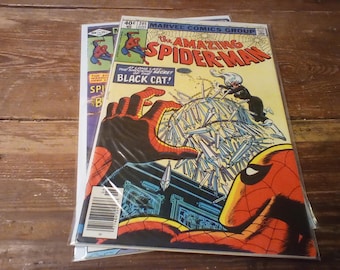May include: A Marvel Comics Group comic book titled The Amazing Spider-Man number 205, featuring a cover illustration of Spider-Man and Black Cat with the text At Long Last The Shocking Secret of Black Cat, enclosed in a clear plastic protective sleeve.