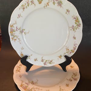 Classic Rose Collection Rosenthal - Etsy