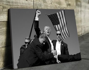 Fight Donald Trump Dark Canvas and Poster, I Will Fight Trump, I Stand With Trump, Make America Great Again, Donald Trump, Donald Trump
