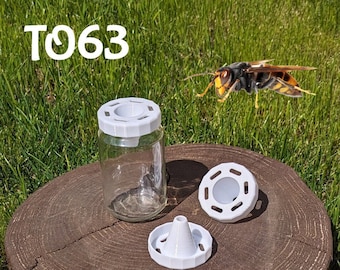 Asian hornet trap TO63