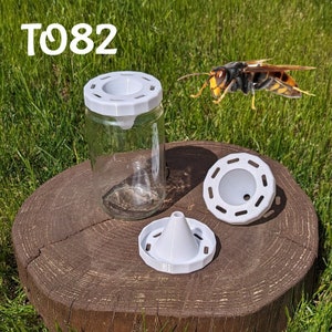 Asian hornet trap TO82 image 1