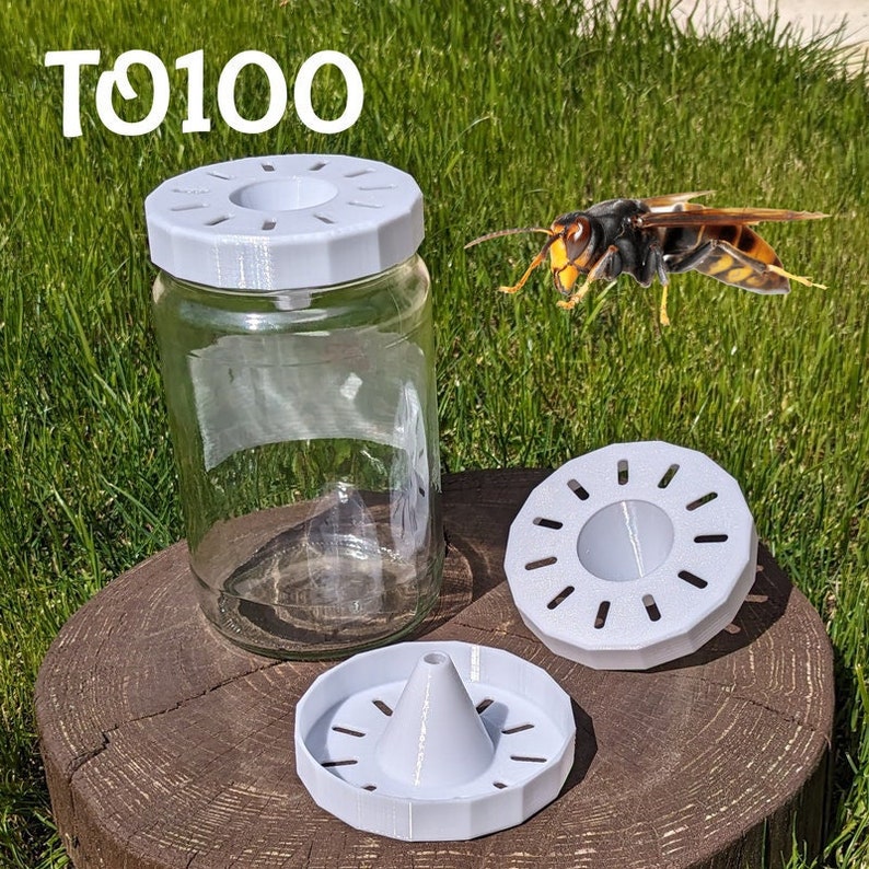 Asian hornet trap TO100 image 1