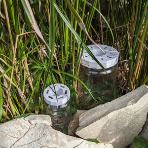 Asian hornet trap TO100 image 9