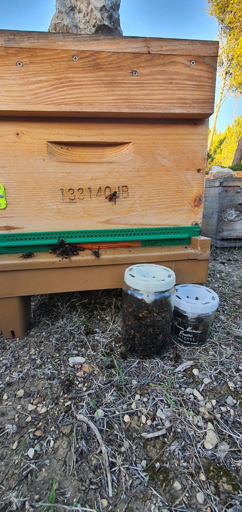 Asian hornet trap TO82 image 4