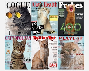 Stampe di gatti personalizzate / Copertine di riviste / Ritratti di animali domestici / Arte personalizzata per animali domestici