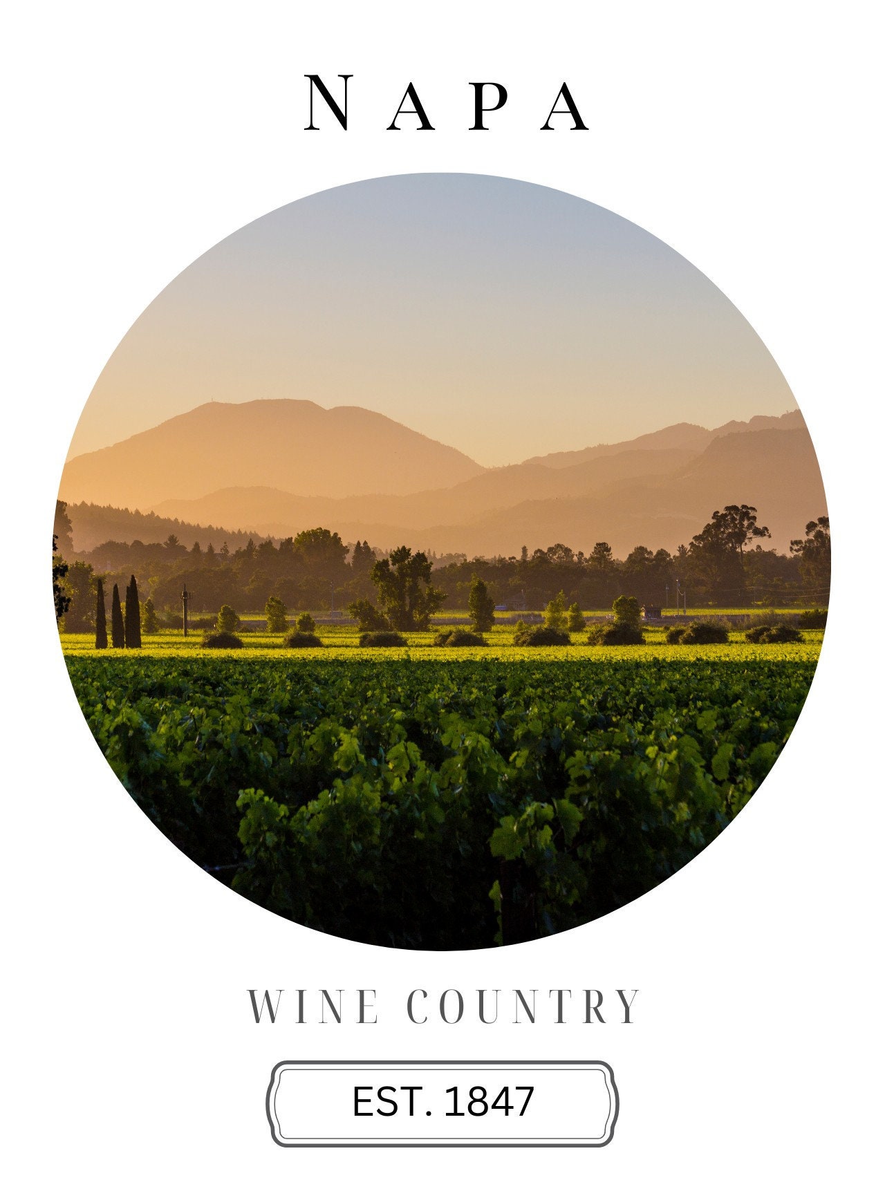 Napa Digital Print, Napa Poster, Napa Wall Art, Napa Art, Napa Travel