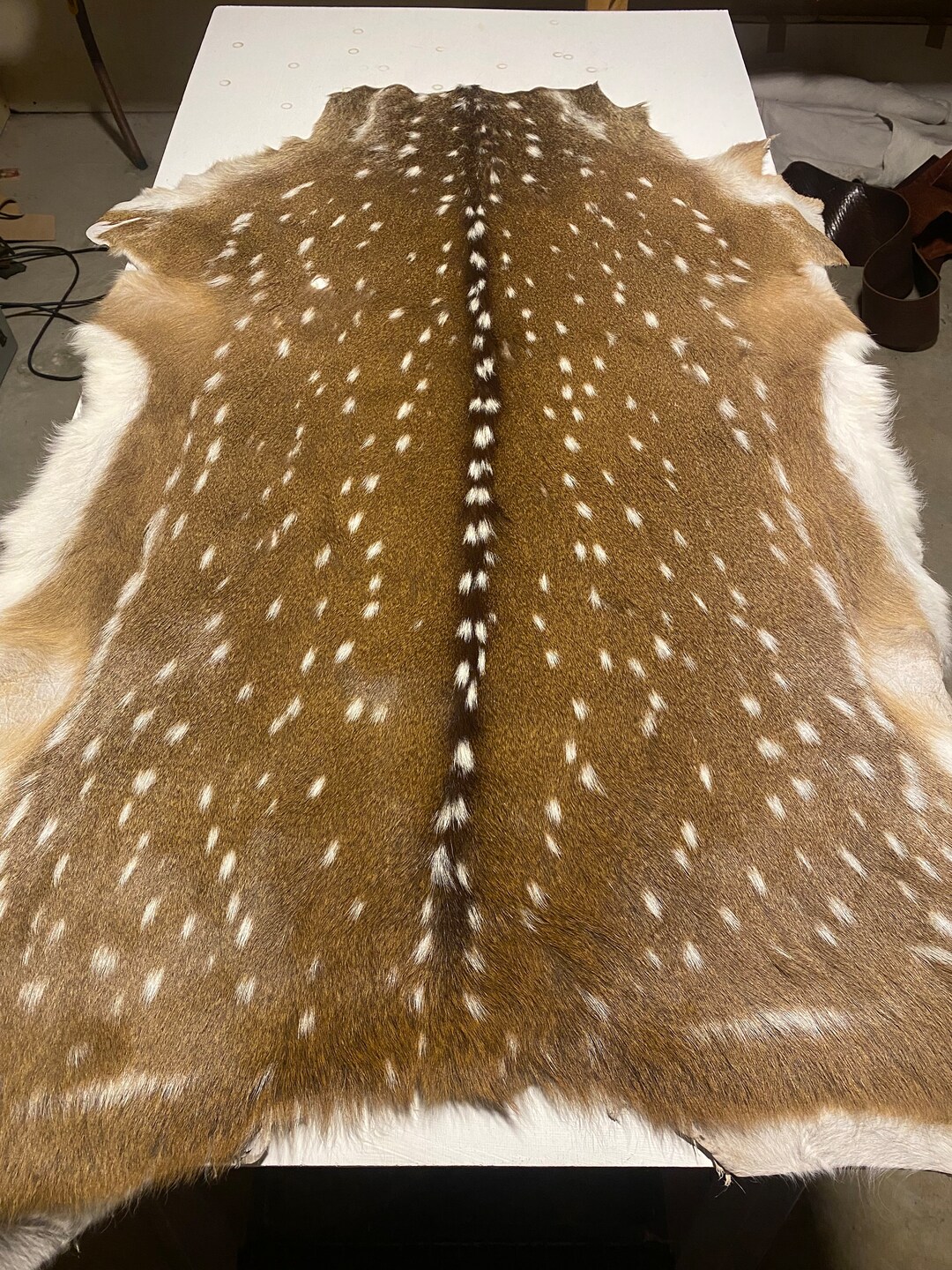 Deer Skin Rug 1/2 Grade Axis Deer Hide. Fallow Deer Rug Hair On ...