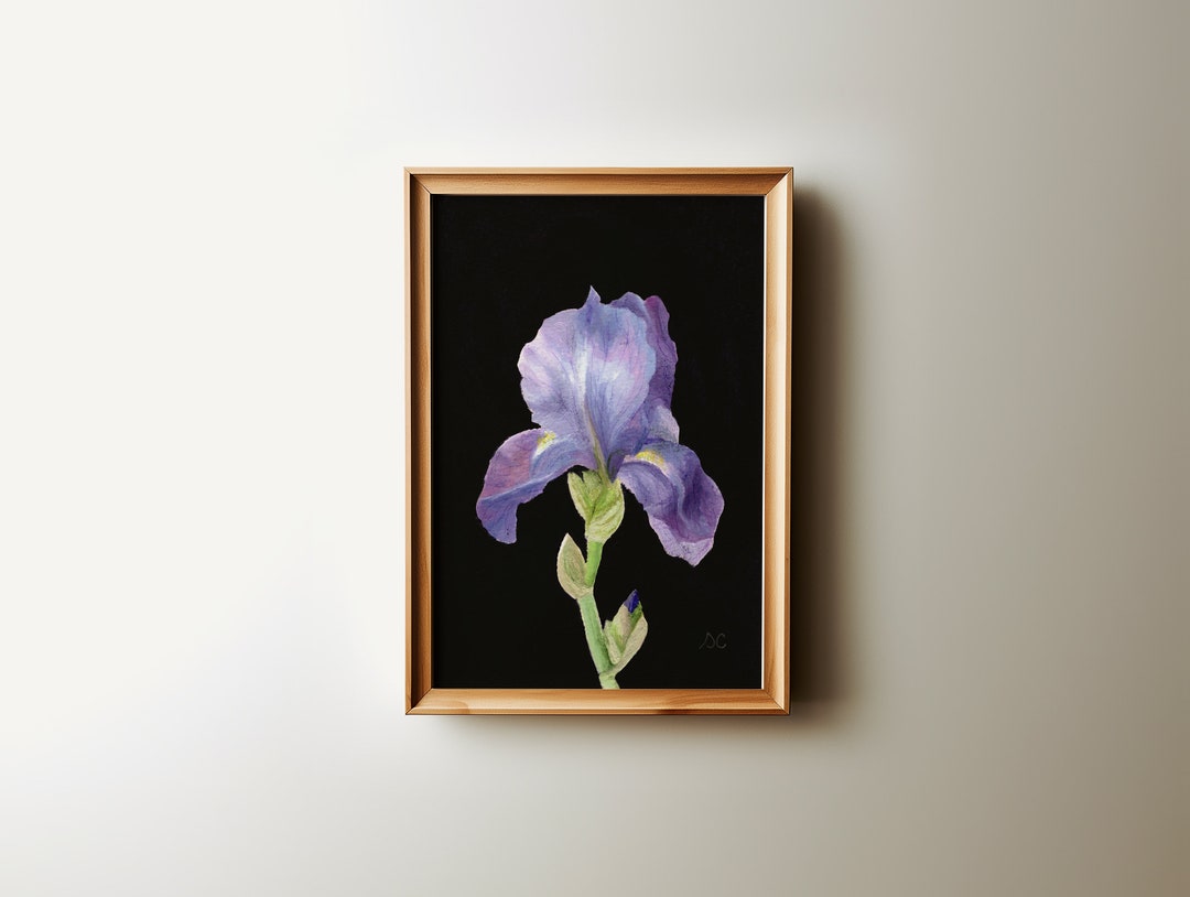IRIS Art Print - Unframed Oil Painting Print - Oil Painting Still Life ...