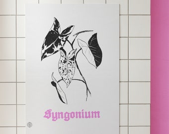 May include: A white poster featuring a black and white botanical illustration of a Syngonium plant. The leaves have unique patterns. The word "Syngonium" is printed in pink script at the bottom. The poster is mounted on a white tiled wall.