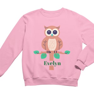 Sudadera de otoño personalizada para niñas pequeñas con un bonito diseño de búho: sudadera floral personalizada, regalo perfecto de Navidad y cumpleaños