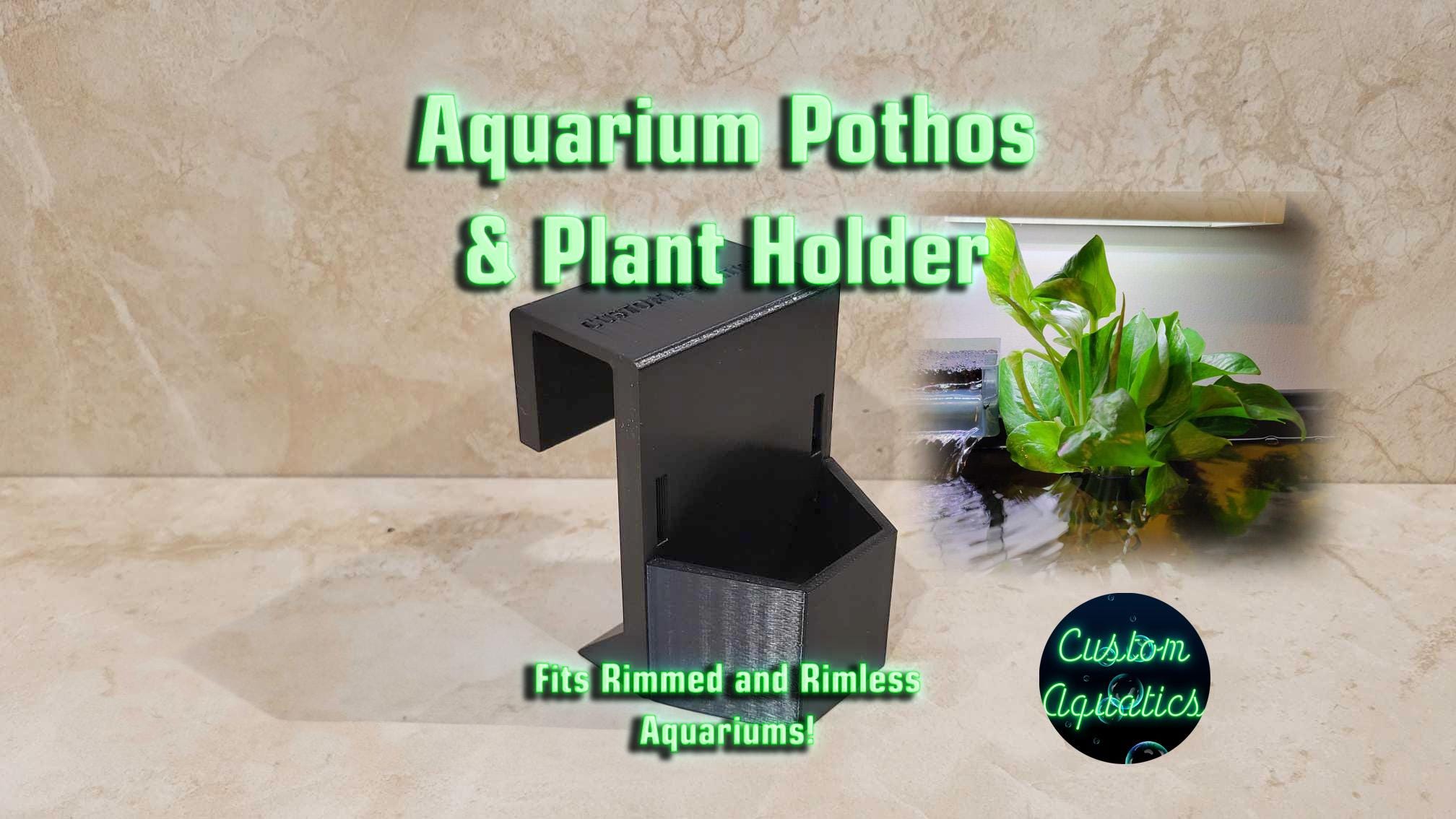 Aquarium Pothos & Plant Rim Holder - Etsy